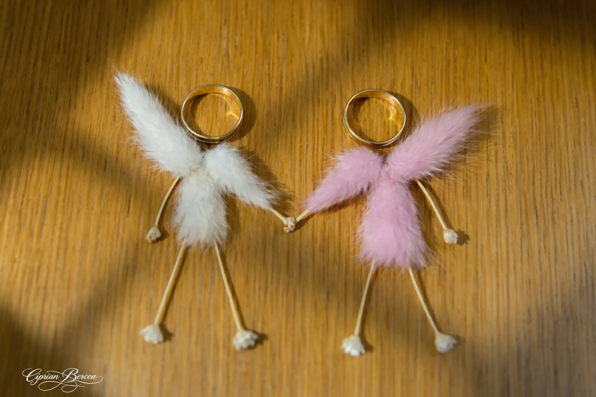 Fotograf nuntă Botoșani